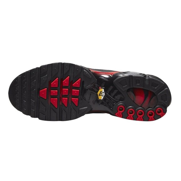Size 10 - Nike Air Max Plus Bred Reflective DZ4507-600 NIB! main image 5